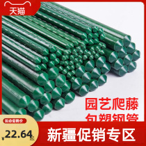 Xinjiang flower rack climbing pergola grape cucumber bean garden planting rose vegetable support rod plant bracket