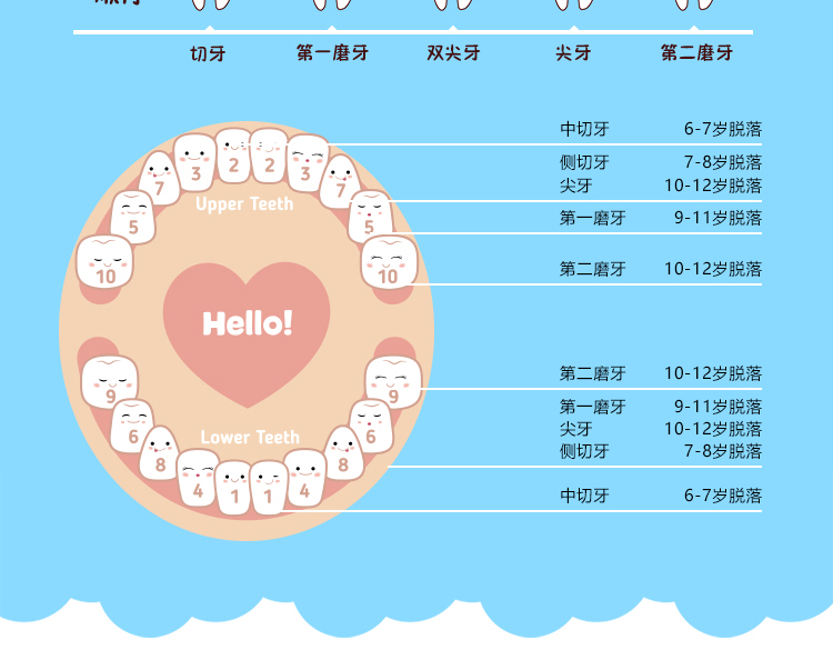 Khác 2018 bộ sưu tập bé tóc mô hình cậu bé hộp răng kỷ niệm hộp mô hình hộp răng đồ chơi trẻ em rốn dây hộp