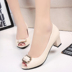 Giày đơn nữ giày cao gót gợi cảm miệng cá lưới stiletto 2018 xuân hè mới đế không thấm nước đế bệt dép quai hậu nữ đi học Sandal