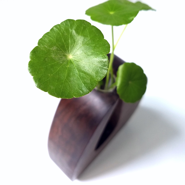 Wal 花 器 组 [青 螺 工坊] Black Walnut lọ hoa sáng tạo gỗ hoa đứng nghệ thuật bình thủy tinh chậu hoa treo ban công