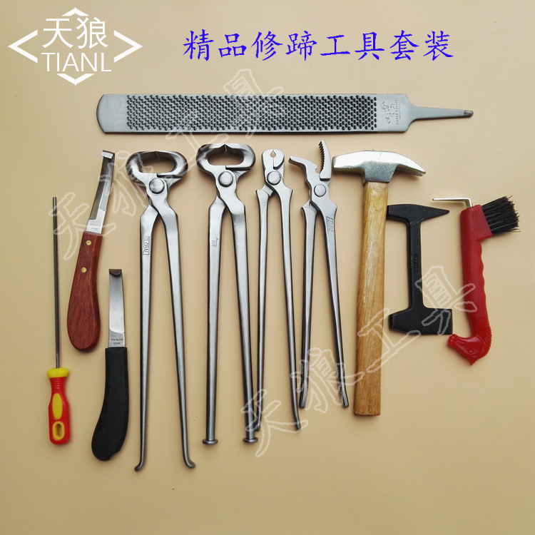 Chất lượng cao móng tay toàn cầu đua ngựa móng tay công cụ cưỡi ngựa thể thao đào tạo móng ngựa móng ngựa móng ngựa móng tay mũ cưỡi ngựa