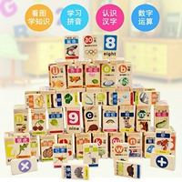 100 miếng trái cây nhận thức hai mặt domino biết chữ bính âm giáo cho trẻ em đồ chơi trẻ em khối động vật đồ chơi con nít