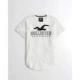 HollisterLogo mẫu áo thun ngắn tay nam 206899 áo thun nam big size