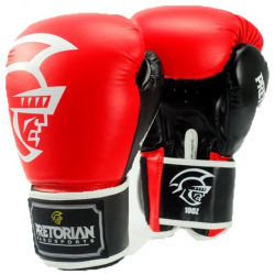 Brazilian Professional Boxing Gloves 14oz Adult Men and Women Muay Thai Sanda Punching Bag Competition Training Fighting Gloves 16oz