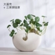 Bình gốm đơn giản và nhỏ Trang trí hoa khô Hoa phong cách Nhật Bản phụ kiện nhà hoa thủy canh - Vase / Bồn hoa & Kệ