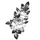 TATTOO QUEEN X215 Peony Flower Flower Leaves Girly Juice Herbal Tattoo Sticker on the Back of Wrist