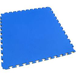 Jiurishan Taekwondo Floor Mat Boxing Martial Arts Training Fighting Sanda Wrestling Gym Fighting Competition Professional Mat