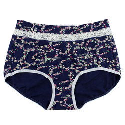 ຊຸດຊັ້ນໃນຂອງແມ່ຍິງ Aisha ແອວສູງທີ່ມີເສັ້ນໄຍໄມ້ໄຜ່ຂອງແມ່ຍິງ underwear antibacterial hip-covering short boxer briefs ສໍາລັບແມ່ຍິງ 33540