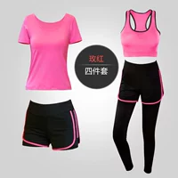 Роза красный четыре сета