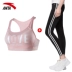 Anta sport suit nữ 2019 hè mới tập yoga tập thể dục giảm xóc hấp thụ áo ngực thể thao bó sát quần - Thể thao sau bộ quần áo thu đông nam adidas Thể thao sau