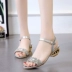 Duomu 2018 hè mới dành cho nữ dày với dép sandal nữ với giày đế cá nhỏ Giày tươi mới phiên bản Hàn Quốc của giày nữ hoang dã sandal nữ đế cao Sandal