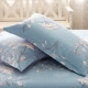 Vỏ gối cotton Bộ chăn ga gối cotton dành cho người lớn Vỏ gối đơn 48 * 74 vỏ gối cotton 2 giá - Gối trường hợp