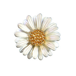 Mini daisy brooch corsage ງ່າຍດາຍຂອງແມ່ຍິງຕ້ານການ exposure cardigan pin collar needle horse pin button shirt accessories