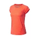 Li Ning áo thun ngắn tay nữ mới chạy loạt đồ thể thao phản quang cổ tròn Quần áo thể thao mỏng - Áo phông thể thao áo ba lỗ 