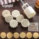 Khuôn bánh trung thu 2018 mới ép da bằng da mung đậu bánh nhà thương mại hoạt hình nổi không dính 50g - Tự làm khuôn nướng