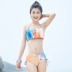Bikini ba mảnh nữ 2019 mới ngực nhỏ tụ tập áo ba lỗ gợi cảm Hàn Quốc mùa xuân nước hoa nhỏ - Bikinis đồ bơi nữ dạng quần váy Bikinis