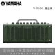 Yamaha Yamaha âm thanh THR10X / C / THR5A guitar điện bằng gỗ bass hộp loa piano đa chức năng cầm tay - Loa loa