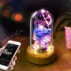 Wish Wishlit Bottle (Blue Demon Ji) [Bluetooth Sound]