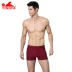 Anh tóc Boxer quần short nam áo tắm bảo thủ mùa xuân ấm áp kích thước lớn phù hợp với đồ bơi chống clo nhanh chóng in thời trang quần đùi bơi nam Nam bơi đầm