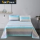 Bông cũ vải thô lớn tấm đơn mảnh 100% cotton dày chiếu đơn đôi đôi tùy chỉnh 3 m - Khăn trải giường