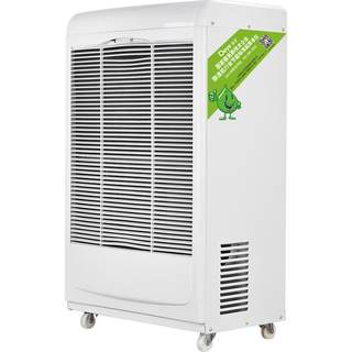 Deye food workshop library industrial dehumidifier