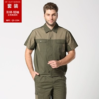 QD1304 Армейский зеленый кофе с короткими рукавами