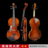 Свет 4/4 высота составляет более 155 см.