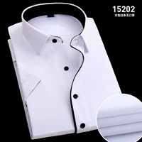 (Короткая -Слива) BAI Pie Collar 15202