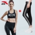 Anta sport suit nữ 2019 hè mới tập yoga tập thể dục giảm xóc hấp thụ áo ngực thể thao bó sát quần - Thể thao sau bộ quần áo thu đông nam adidas Thể thao sau