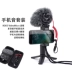 RODE VIDEOOMICRO Micrô di động SLR OSMO Ghi âm Videomic Micro Vibrato Live Interview Wedding Wedding Cải thiện chất lượng âm thanh Micrô