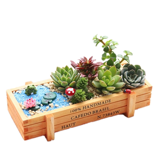 diy combination platter flowerpot succulents