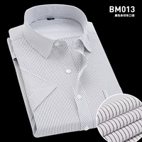 (Короткие -слис) Черные полосы BM013