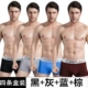 Coekac4 hộp quà tặng đồ lót nam boxer nam thoải mái U lồi thoáng khí eo bốn sừng quần trẻ trung