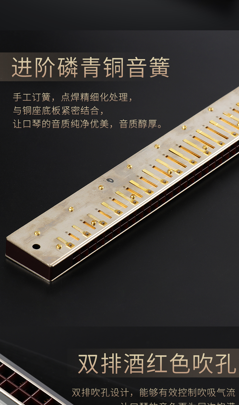 Harmonica dành cho người lớn chuyên nghiệp Đàn ông và phụ nữ Âm nhạc đa âm 28 lỗ Accordion Người mới bắt đầu Nhạc cụ nâng cao - Nhạc cụ phương Tây