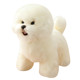 Korean Bichon Frise Puppy Simulation Dog Toy Ornaments