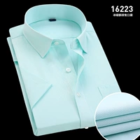 (Короткие рукава) Ice Green 16223