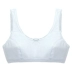 Yilanfen 2018 áo vest nữ cotton mỏng phần bé gái đồ lót phát triển thời tiểu học áo ngực nữ Áo ngực ren