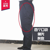 Осень сгибается синий 807 четыре кармана кармана