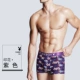 Playboy đồ lót nam một mảnh nam boxer băng lụa mùa hè quần short thanh niên quần đáy bốn góc thủy triều