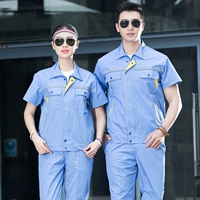 Коротко -сеял светло -голубой желтый край