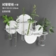 Bức tường sắt đồ trang trí sáng tạo Bức tường Bắc Âu treo tường bức tranh tường hoa màu xanh lá cây cây thủy tinh ống nghiệm - Kệ kệ tường