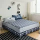 giường bằng vải bông váy duy nhất mảnh vỏ bảo vệ trượt 2018 bedspread vải mới bụi bìa mùa hè châu Âu bìa nệm - Váy Petti