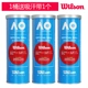 Wilson Wilson Aussie Tennis Match Ball Wilson 3 Pack Iron Can Professional training w10980