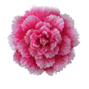 ເດັກນ້ອຍ Peony Flower Umbrella Games ເປີດພິທີເປີດ ການສະແດງ ການສະແດງ ຟ້ອນ ດອກກຸຫຼາບ ເຕັ້ນ ລຳ ການສະແດງ ອຸປະກອນເສີມດອກໄມ້