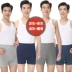 Tuyết bay bông cao eo đồ lót nam võ sĩ trung niên Quadrupers XL quần short cũ đồ lót triumph Eo cao
