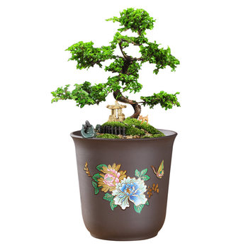 Flowerpot Ceramic Clearance Purple Sand Desktop Bonsai Creative Home Phalaenopsis ພິເສດ Personalized Succulent Banyan Orchid