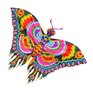 Bamboo butterfly kite adults and children nine days handmade