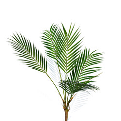 Nordic green plant simulation plant large floor-standing potted tropical rainforest foliage plant palm leaf photography props