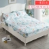 La Mã Christie doanh nghiệp giường cotton một mảnh bộ bông trải giường bedspread trượt Simmons nệm bảo vệ - Trang bị Covers Ga chun Everon Trang bị Covers