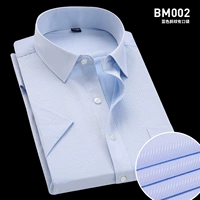 (Короткие рукава) Синяя косой линии BM002